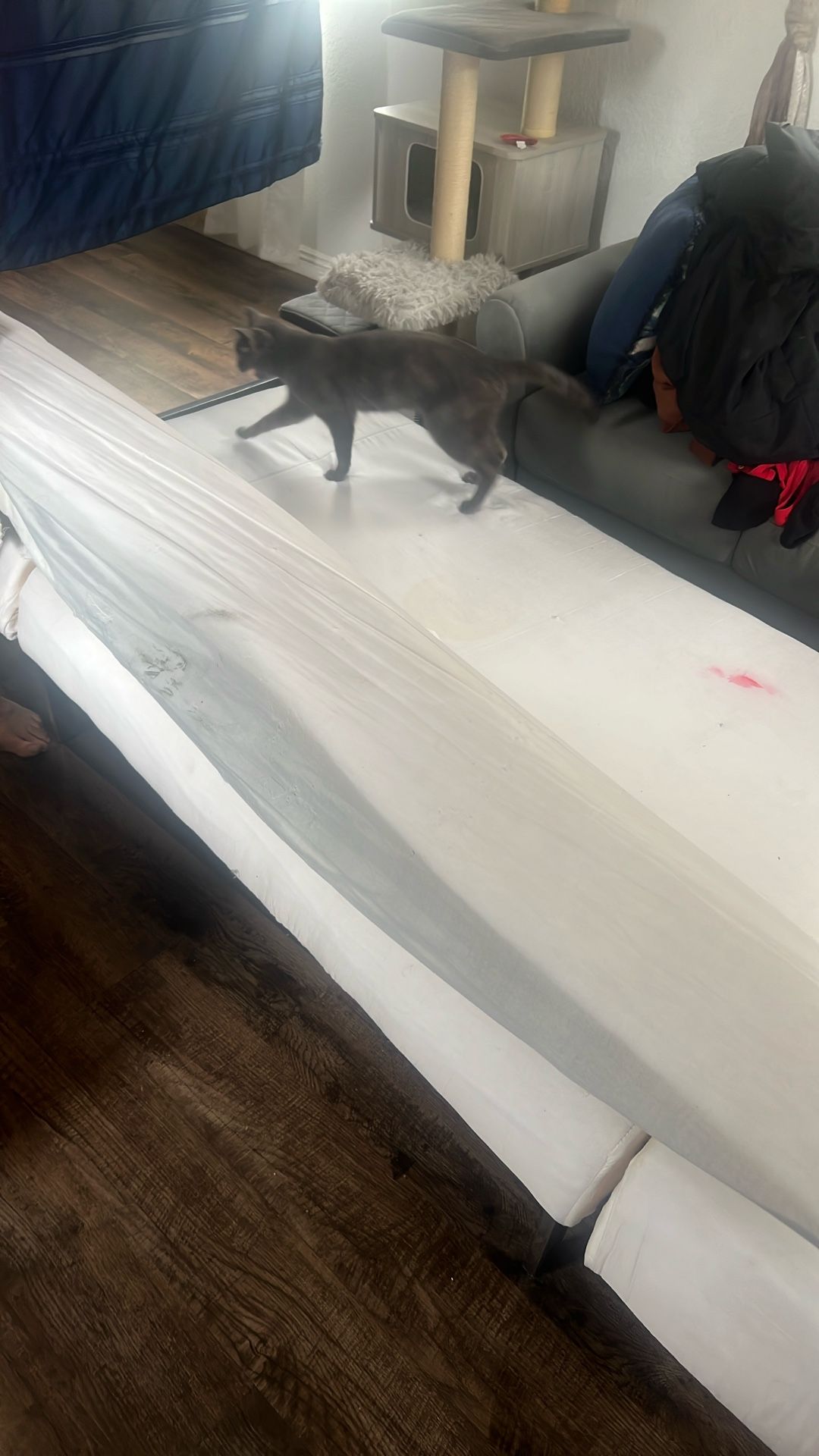 Foldable Futon