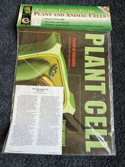 Classroom Posters & Borders