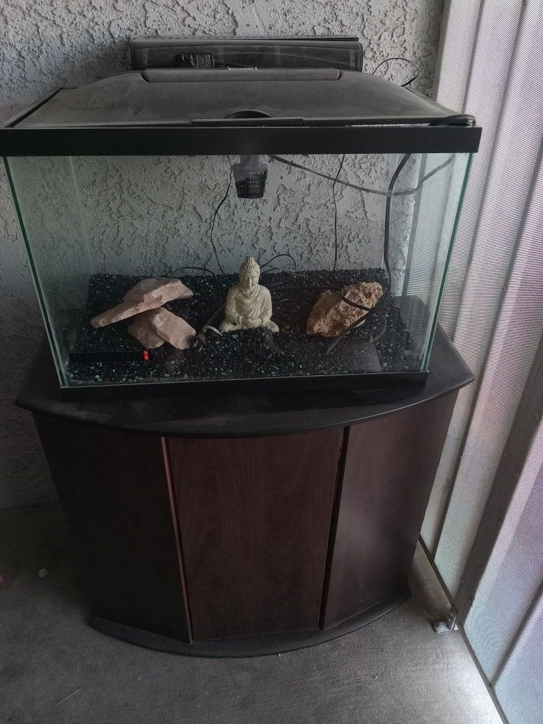 20 Gallon Fish Tank Aquarium And Stand