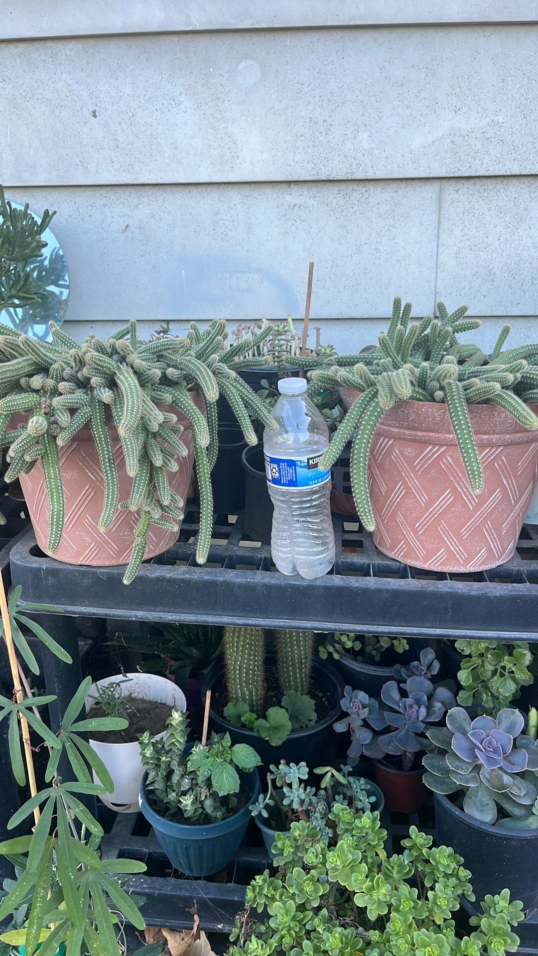 Take Both For $30