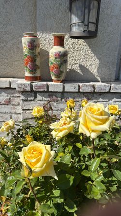 Vases From Japan 🇯🇵