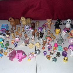 Misc Toy Animals 