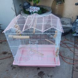 Bird Cage