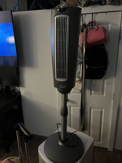 Fan