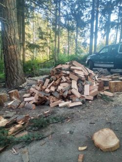 🔥Firewood🔥