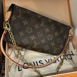 Louis Vuitton Pouch 
