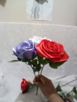 Rosas eternas con María G