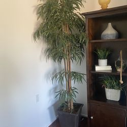 Tall Matching Display Cabinets