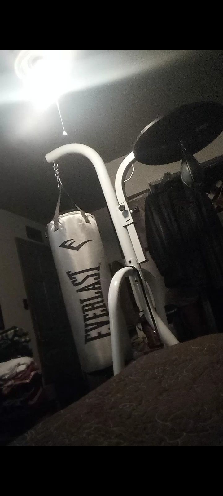 Everlast Punching Bag/Speedbag