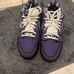 Purple Lobsters Size 10.5