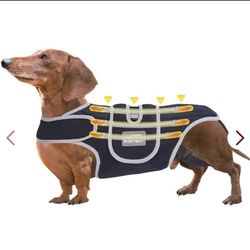 Back Bracer in Large Dogs