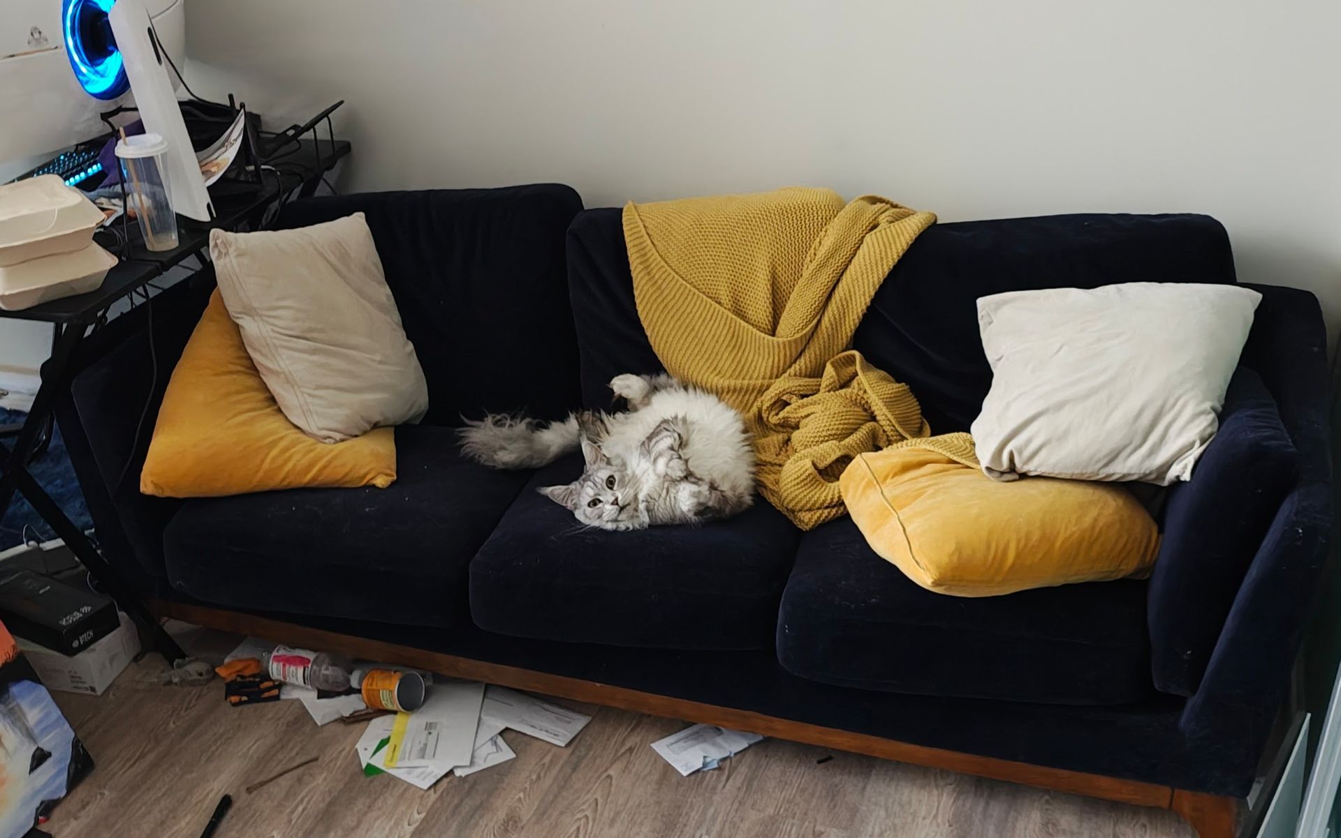 Couch - 3 seats, velvet. Includes pillows, blanket