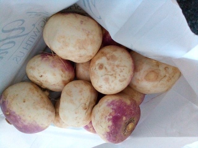 10+ Purple Top Turnips
