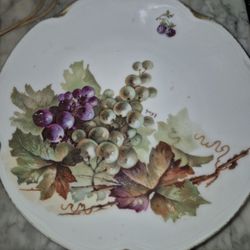 Collectible Plate