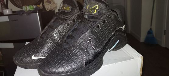 LeBron James 23  BlackEdition Alligators