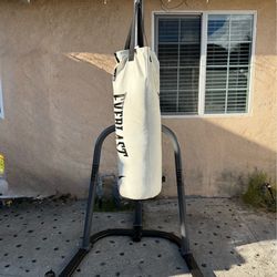 Punching Bag w/Stand - EVERLAST $120 OBO