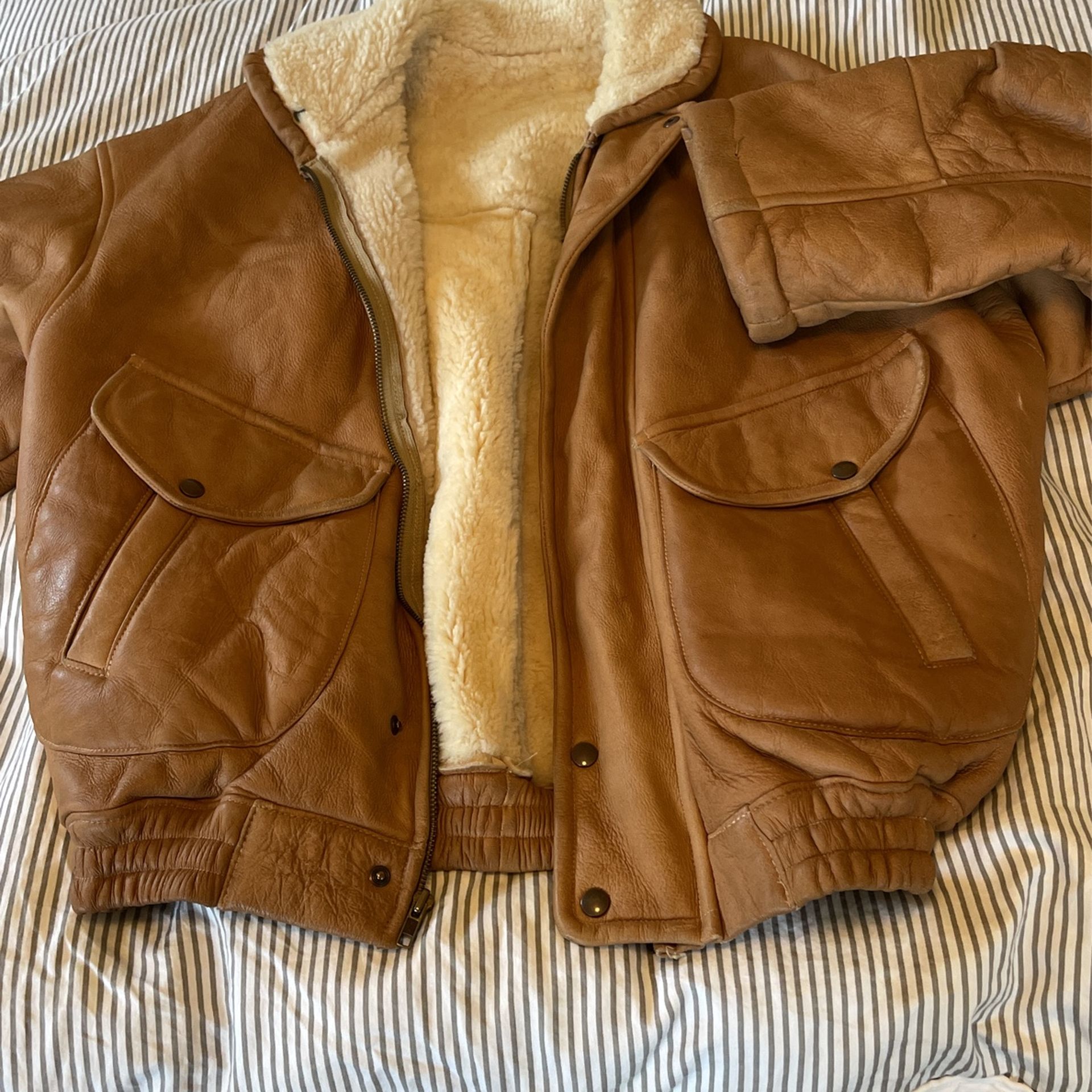 Winter Jacket
