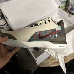 Size 12 Lebrons Brand New 