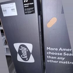 2 Twin Sealy foam mattress