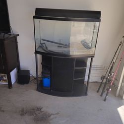 Fish Tank