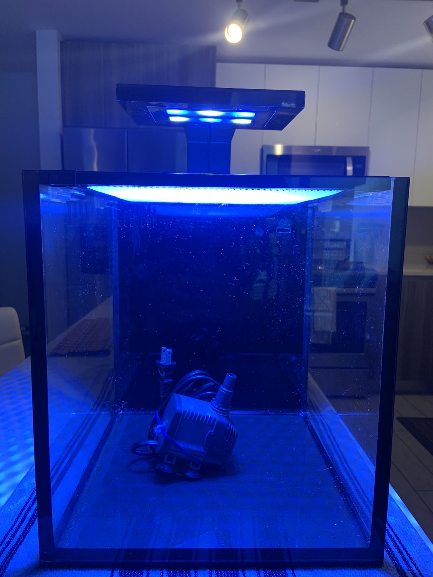 Innovative marine nuvo 10 gallon aquarium fish tank