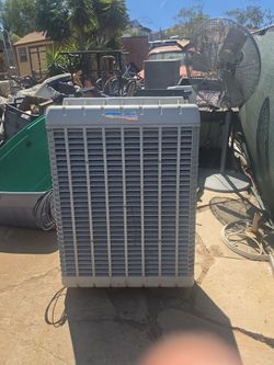 Bonaire swamp cooler