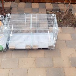 Bird Cages 