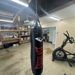 Everlast Heavy Duty 100 Pound Punching Bag