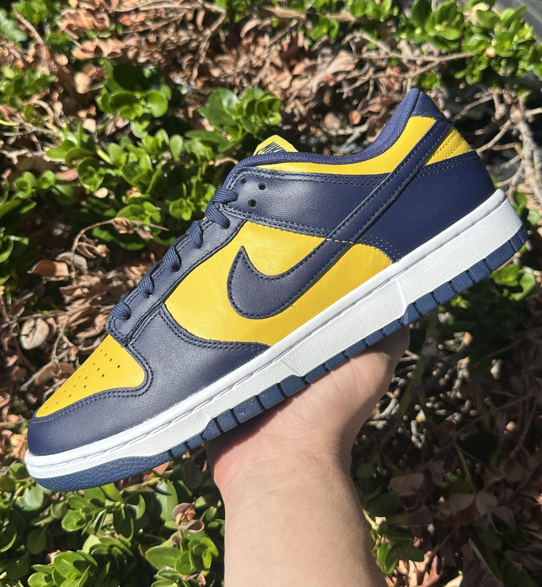 Nike Dunk Low Michigan