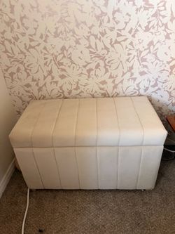 Cute Storage Trunk