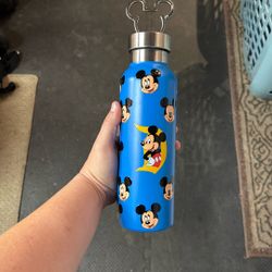 Disneyland Flask