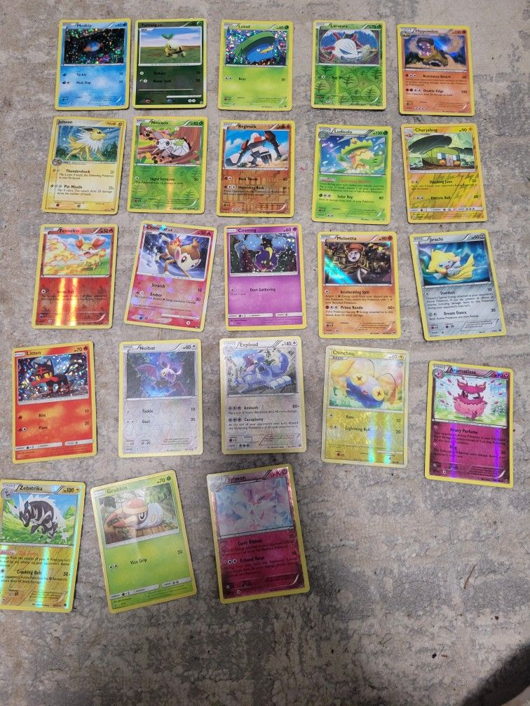 Holos and Reverse Holos