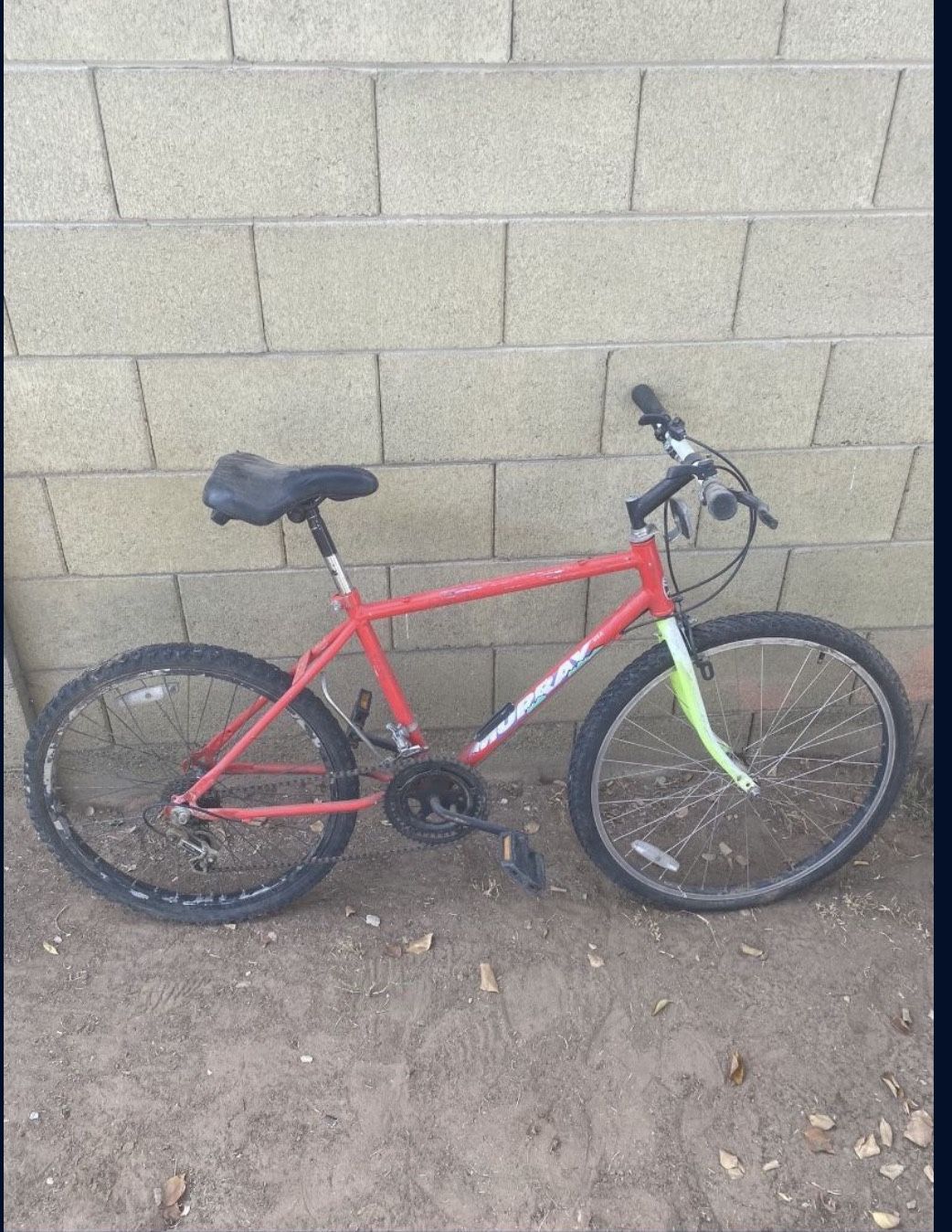 Mountain Bike
