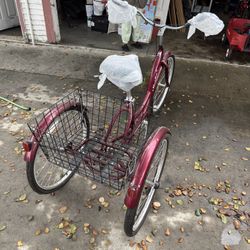 3 Wheel Bike