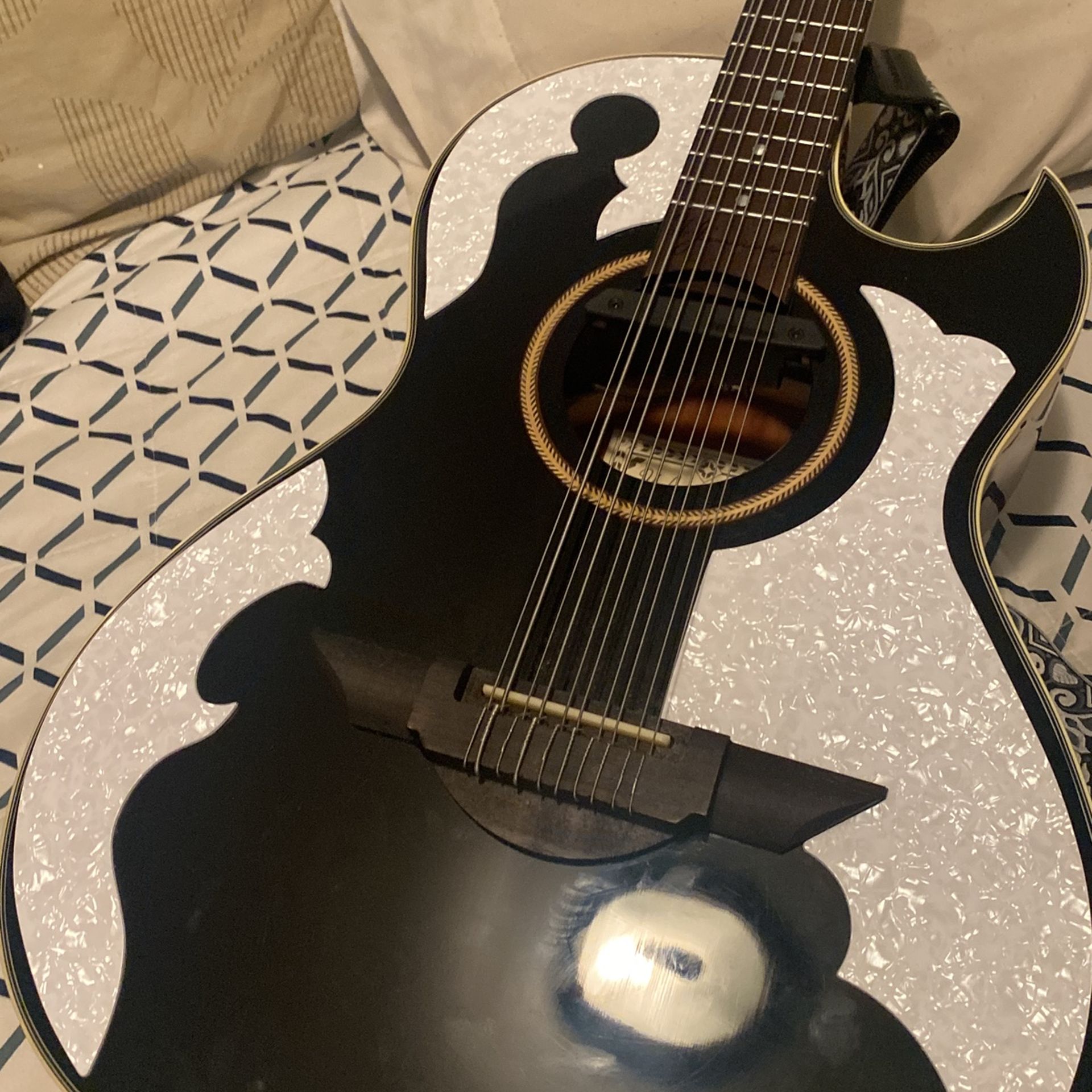 10 String Guitar
