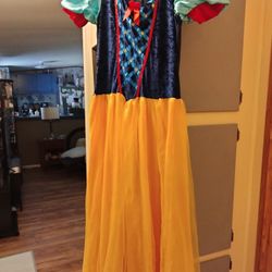 Snow White Dress