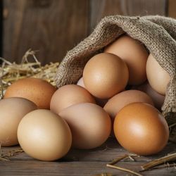 Chicken Eggs