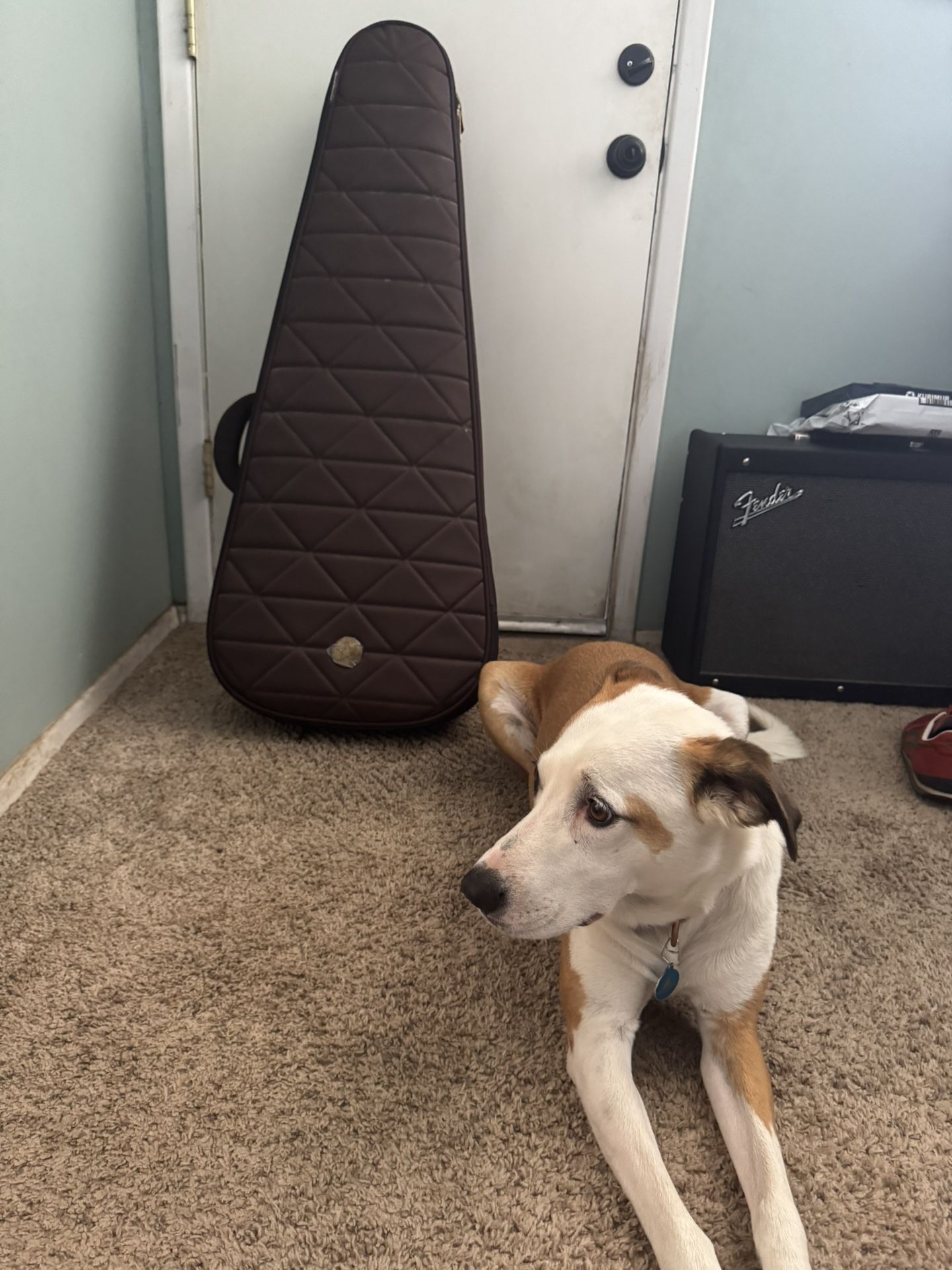 Roadrunner Padded Gig Bag/Case