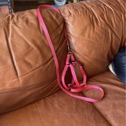 Halo 6ft Lease And Med Harness -Never Used