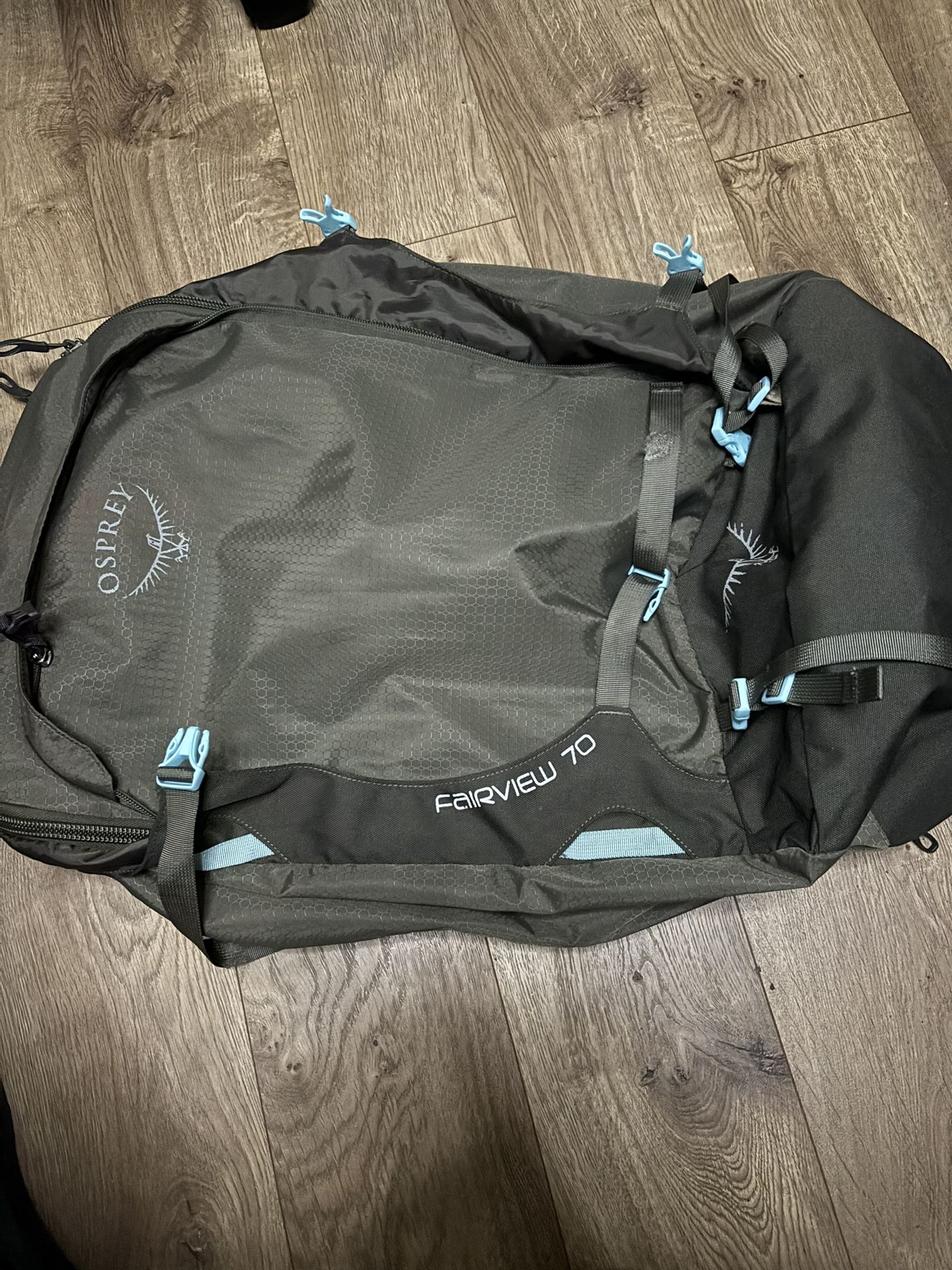 Osprey Fairview 70 (liter) Travel Back Pack (women’s)