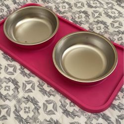 Cat / Dog Bowls With Silicone Mat