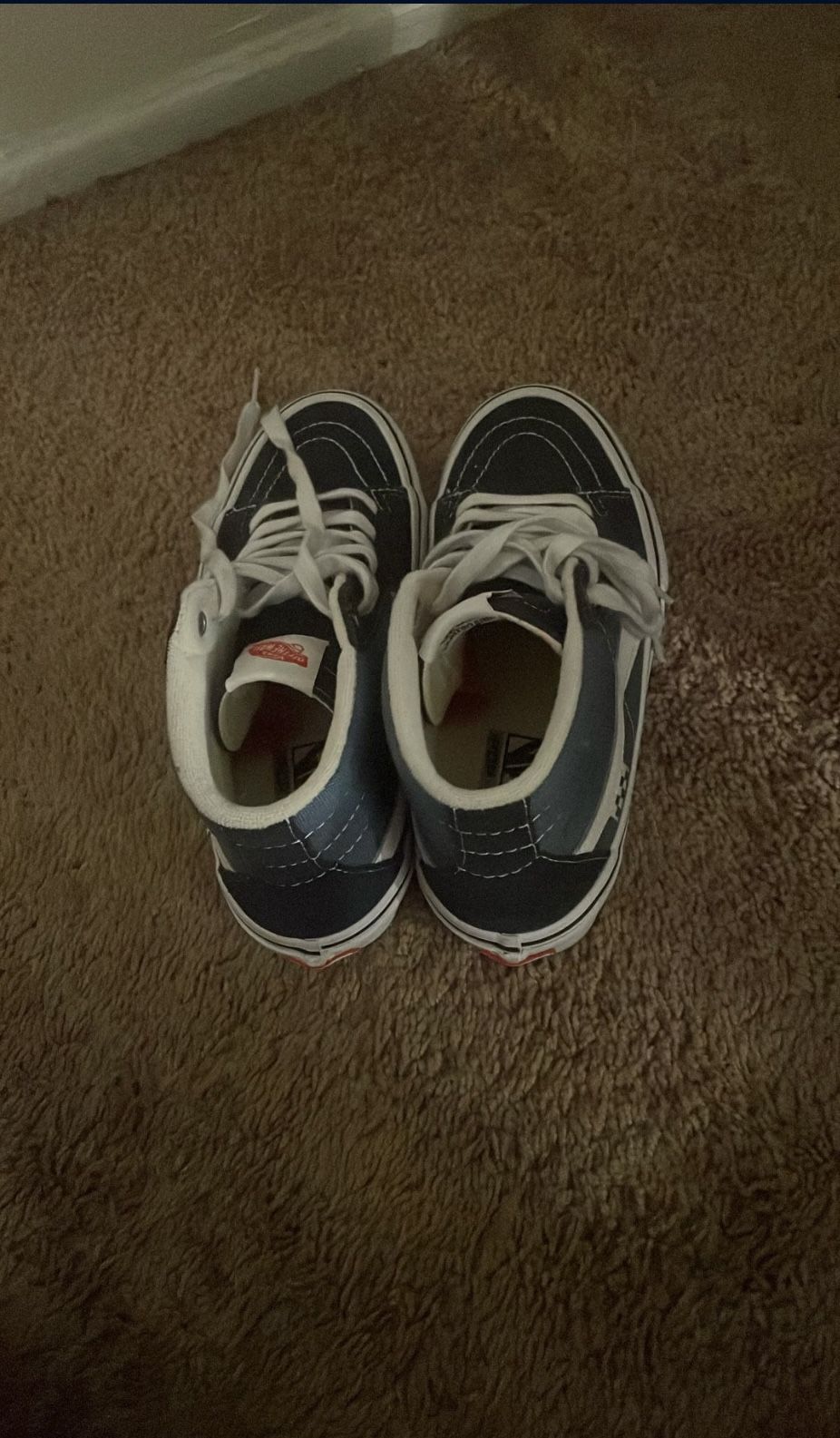 Vans Skateboard shoes