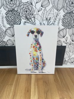 Spotted Colored Dalmatian