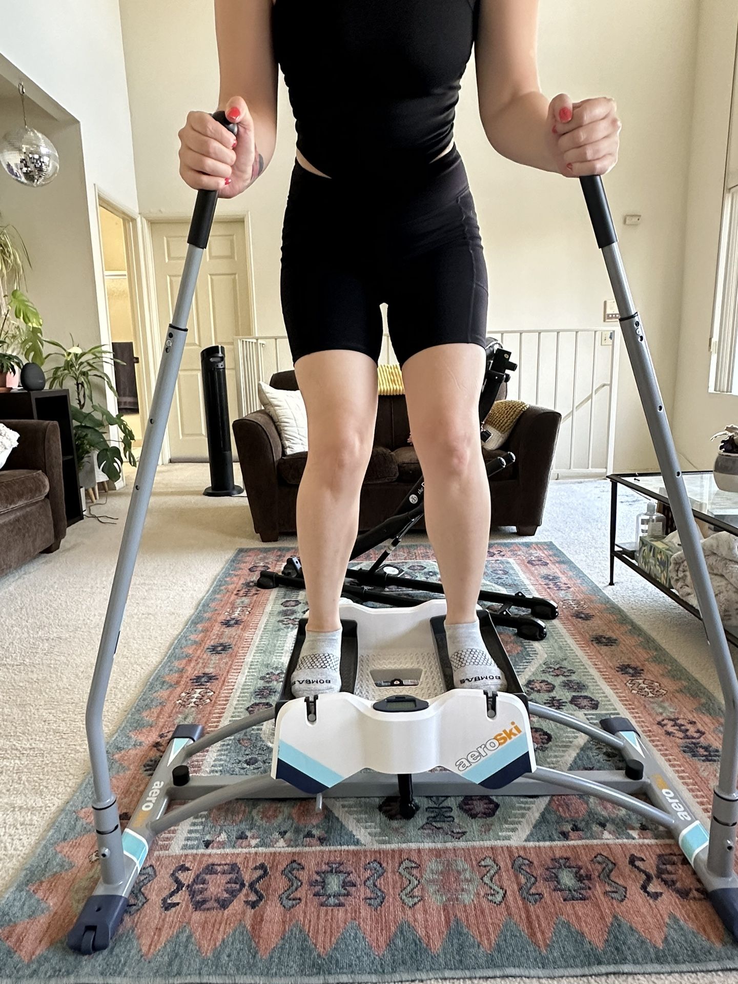 Aeroski (The Basic) - Ski Simulator Exercise machine