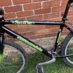  bicycle 