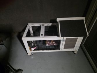 Rabbit cage