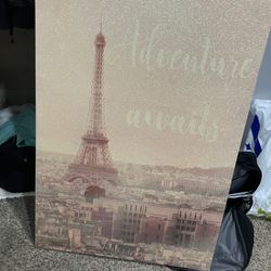 Paris Canvas Wall Art 