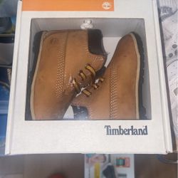 Timberland Boot 6”lace Wheat 2c