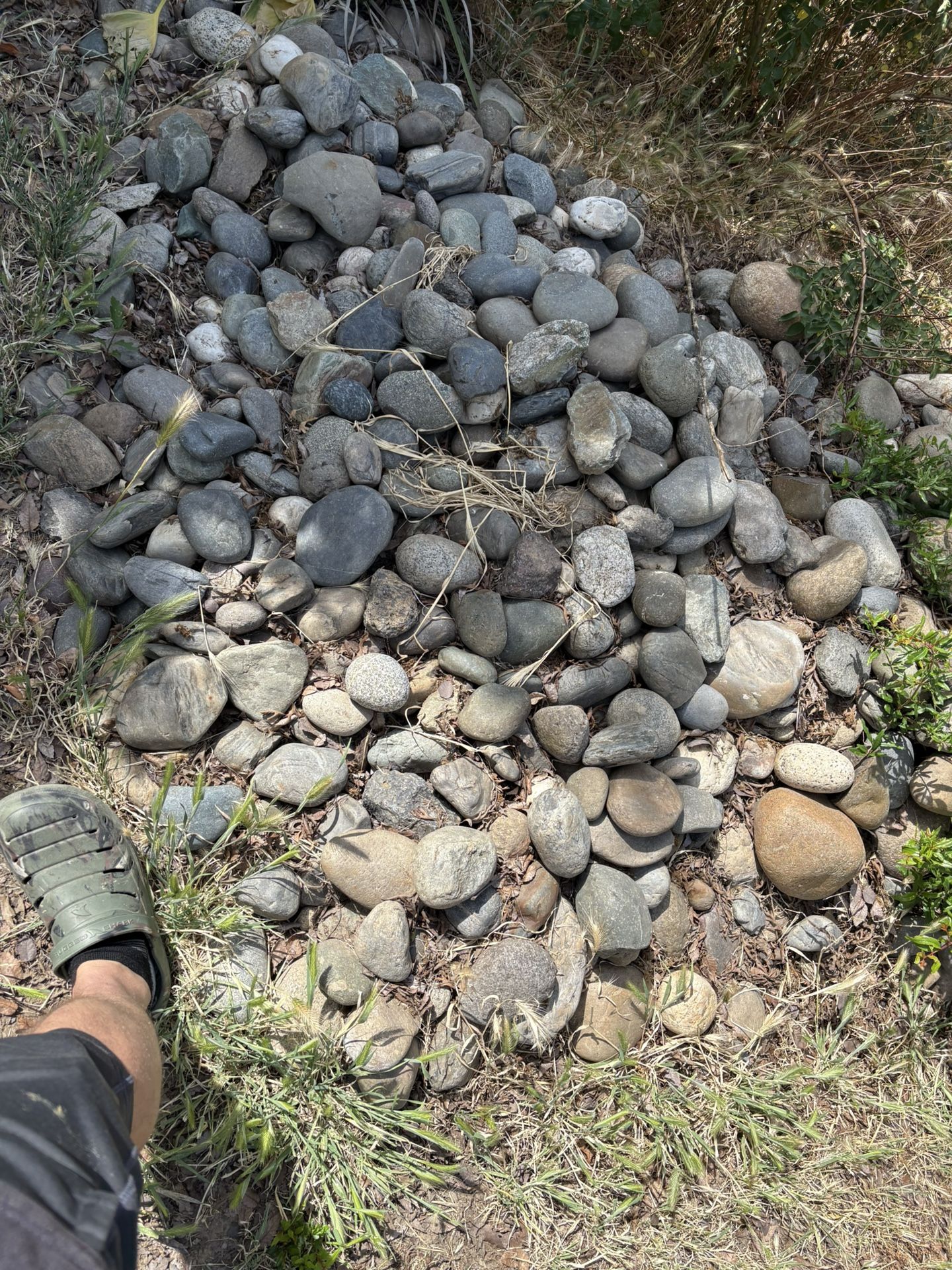 Free Rock