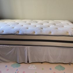 Twin XL Bed 